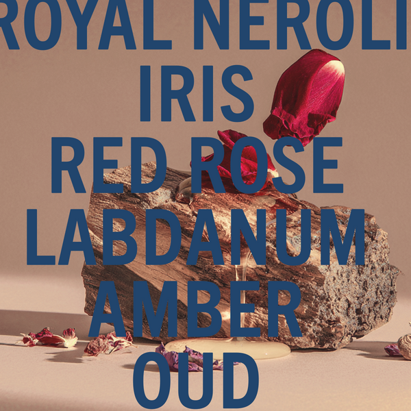 Shay & Blue Amber Oud Ahad Fragrance Noir 100ml