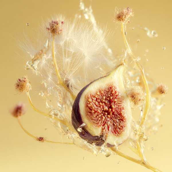 Shay & Blue Dandelion Fig Fragrance 100ml