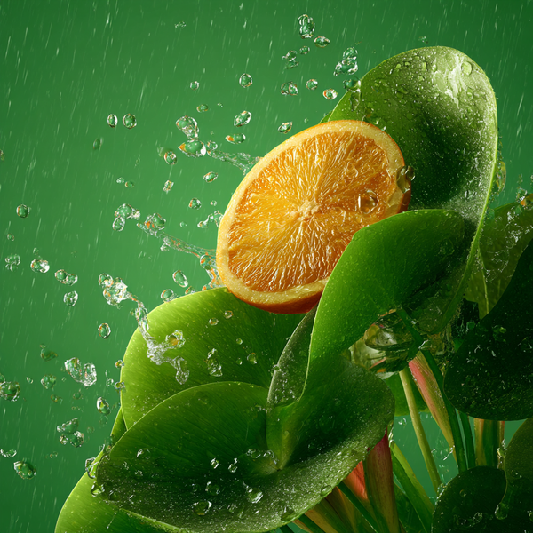 Shay & Blue Rain Shower Leaf Fragrance 100ml