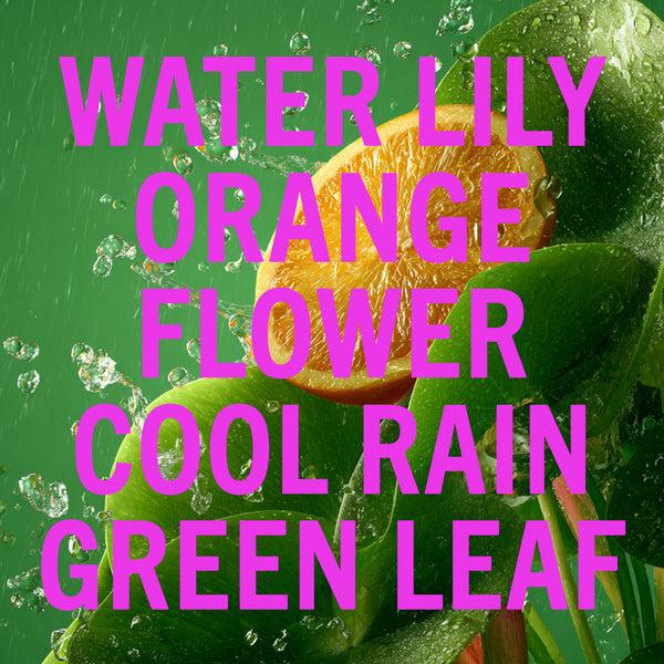 Shay & Blue Rain Shower Leaf Fragrance 10ml