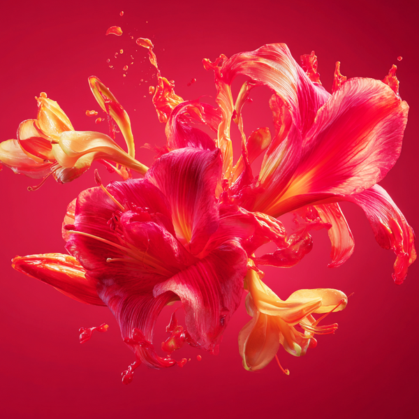 Shay & Blue Scarlet Lily Fragrance 10ml