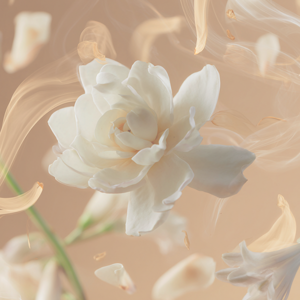 Shay & Blue Tallulahs Camellia Fragrance 100ml