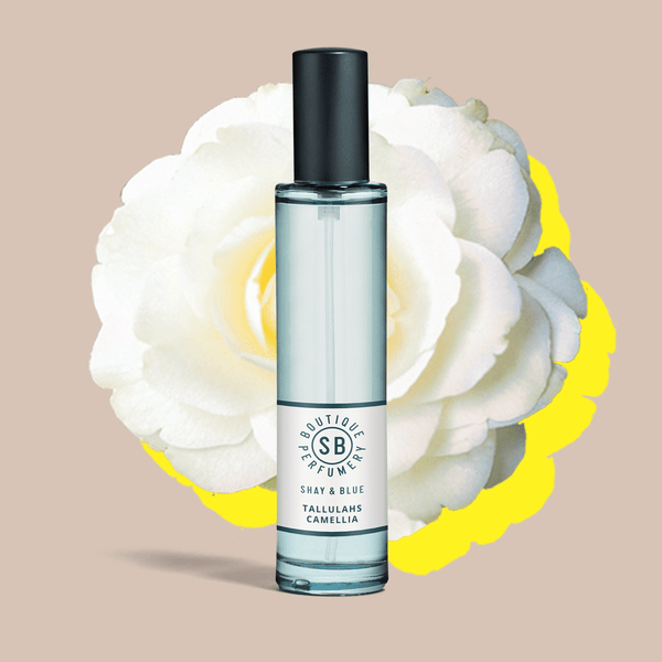 Shay & Blue Tallulahs Camellia Fragrance 30ml