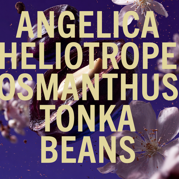 Shay & Blue Tonka Angelica Fragrance 100ml