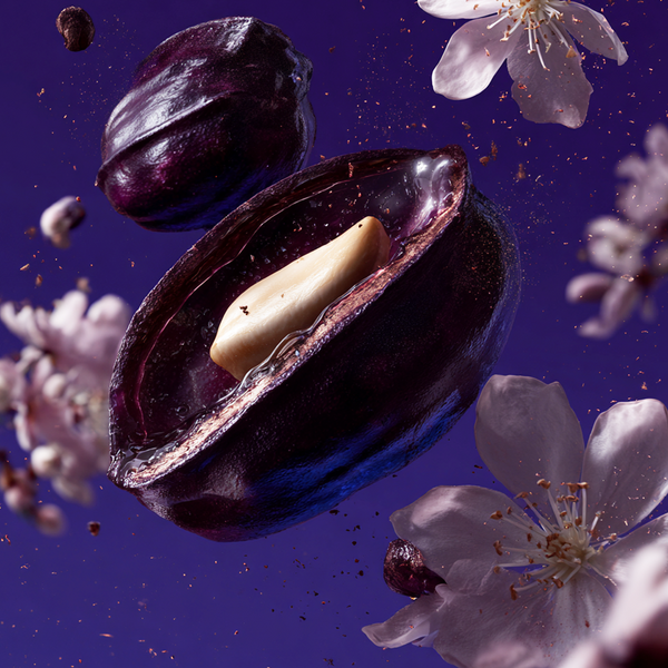 Shay & Blue Tonka Angelica Fragrance 100ml