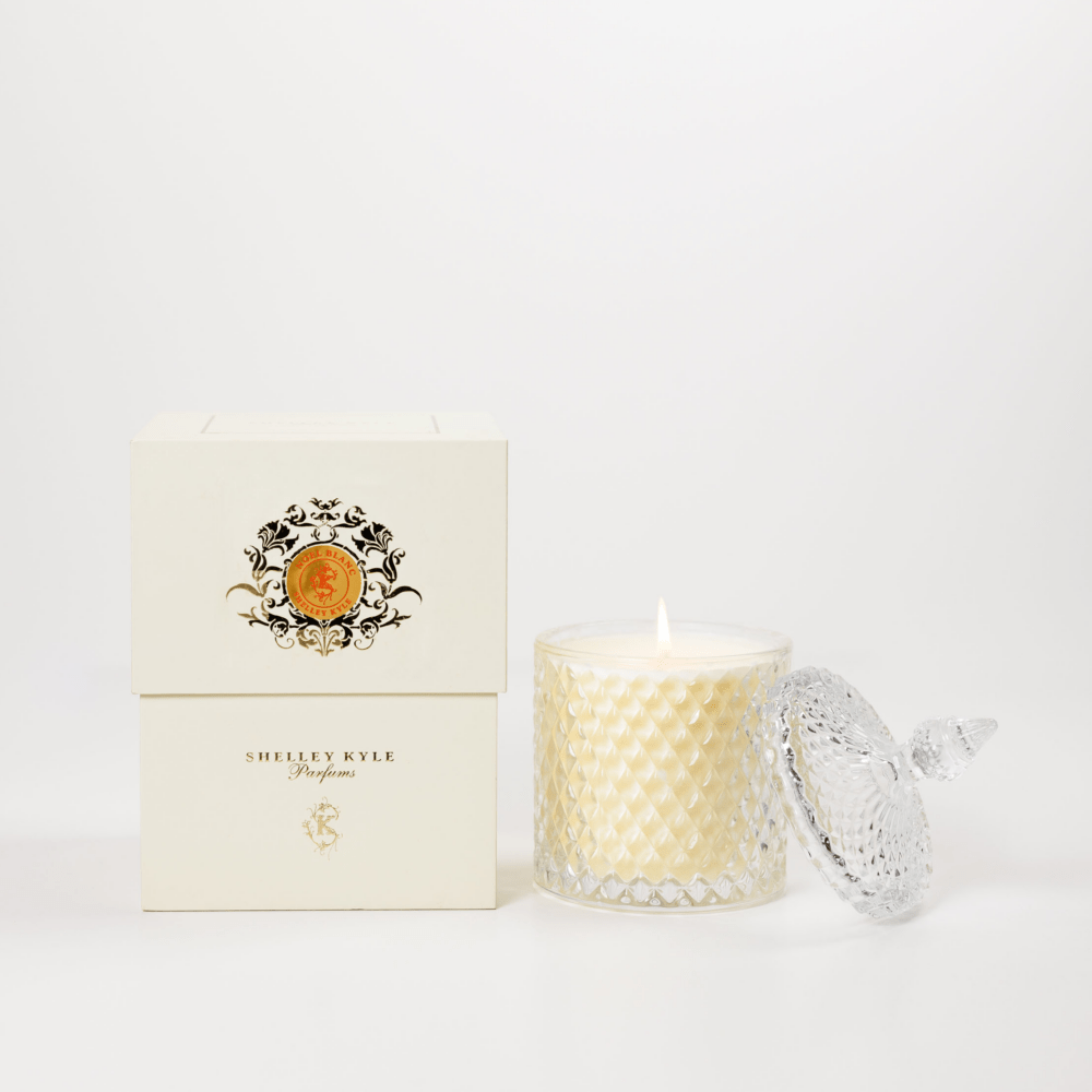 shelley kyle Noel Blanc Crystal Candle 510g