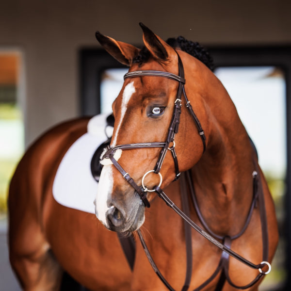 Shires Fancy Raised Padded Figure 8 Bridle With Fancy Raised Rubber Reins
