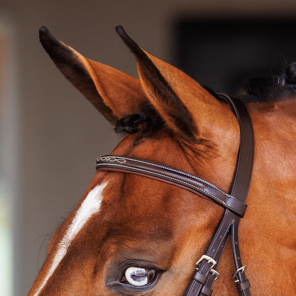 Shires Fancy Raised Padded Figure 8 Bridle With Fancy Raised Rubber Reins