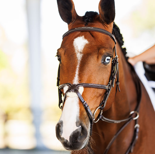 shires Fancy Raised Padded Figure 8 Bridle with Fancy Raised Rubber Reins