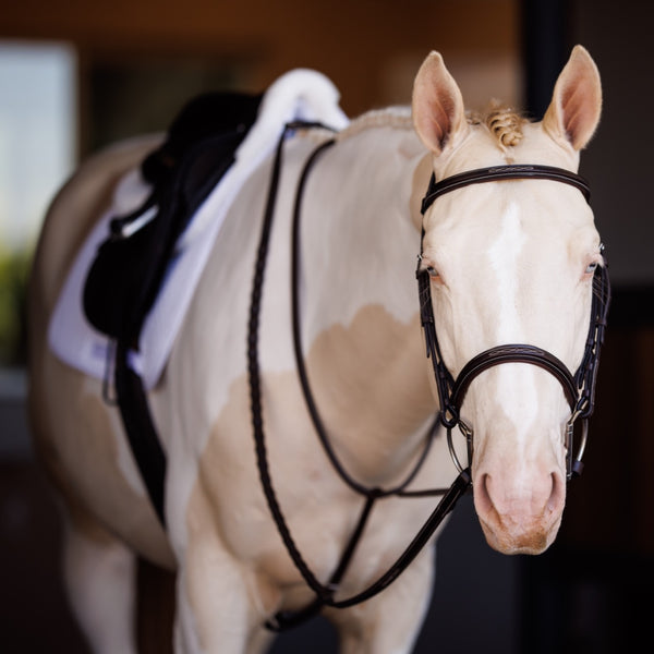 Shires Fancy Square Raised Padded Bridle With Fancy Square Laced Reins