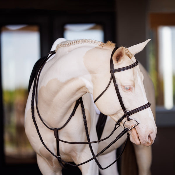 shires Fancy Square Raised Padded Bridle with Fancy Square Laced Reins