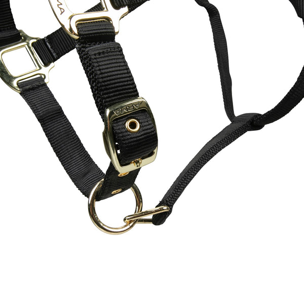 Shires ARMA Adjustable Nylon Halter