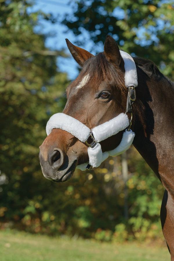 shires ARMA SupaFleece Halter Set