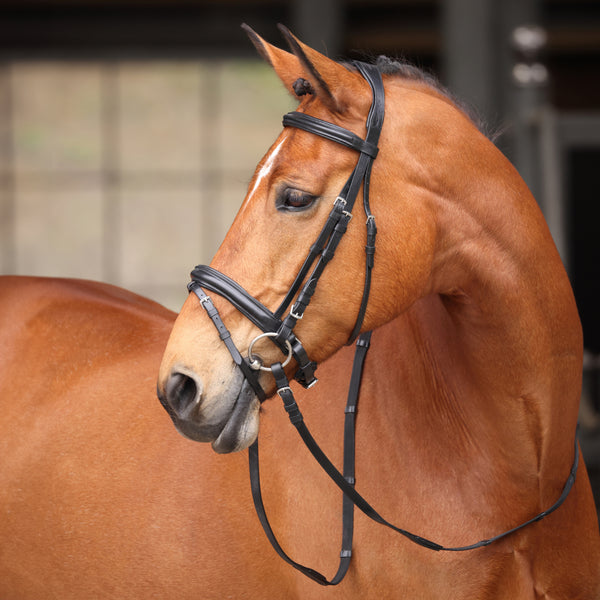 shires Avignon Aspen Bridle