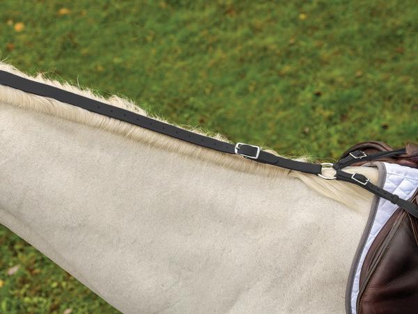 shires Avignon Daisy Rein