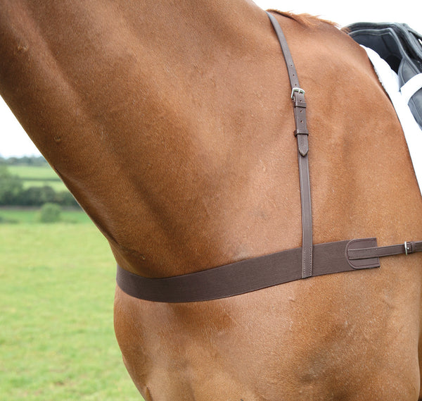 shires Avignon Elastic Breast Girth
