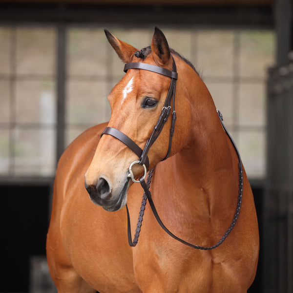 shires Avignon Middleburg Bridle