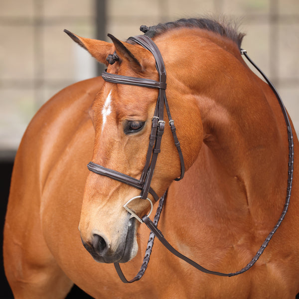 shires Avignon Nashville Bridle
