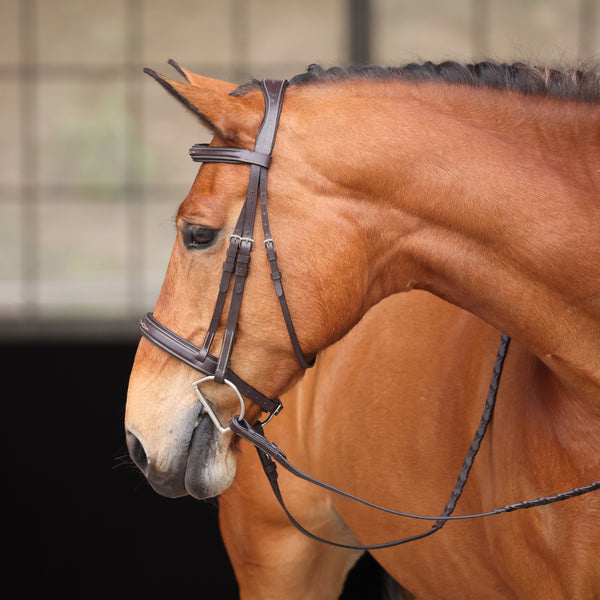shires Avignon Wellington Bridle