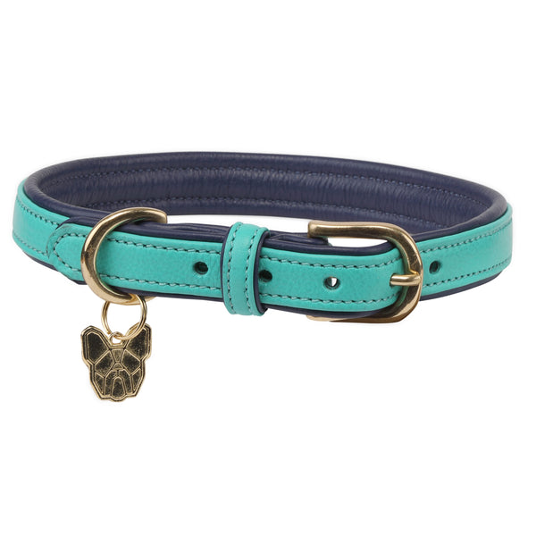 shires Digby & Fox Padded Leather Dog Collar