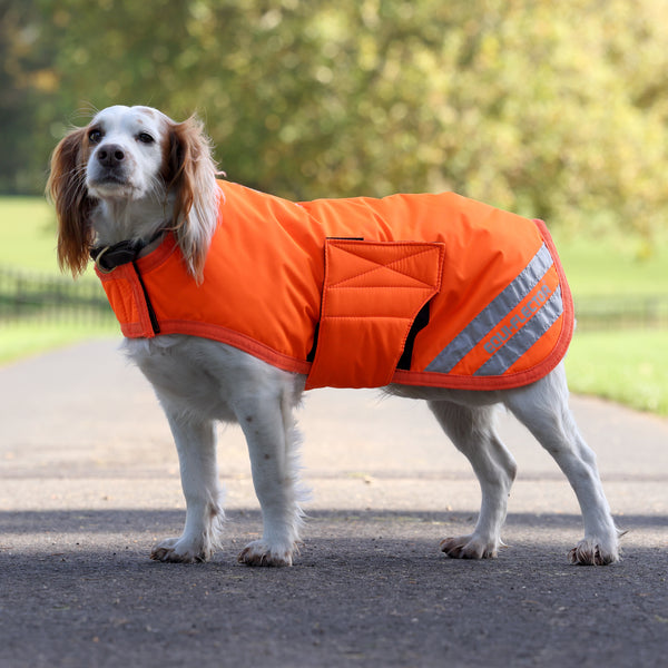 Shires EQUI-FLECTOR® Dog Coat