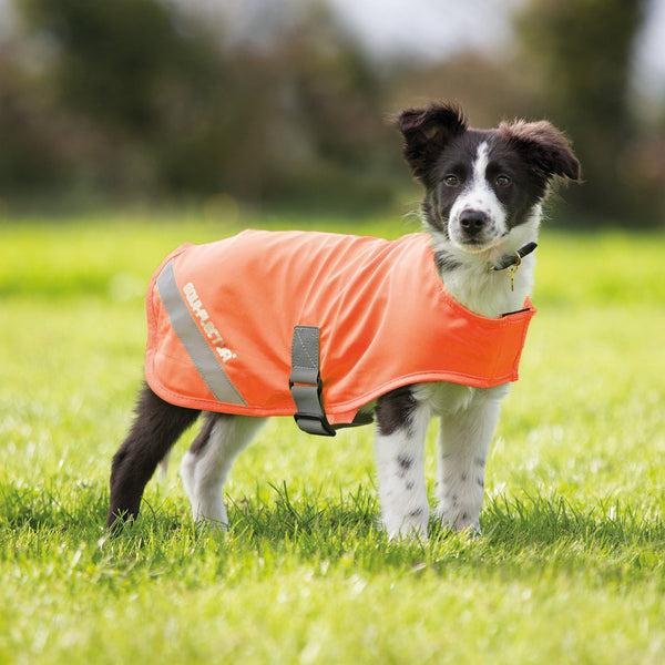 shires Equiflector Dog Safety Vest