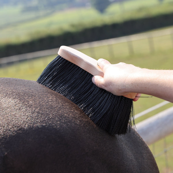 Shires EZI-GROOM Premium Long Dandy Brush