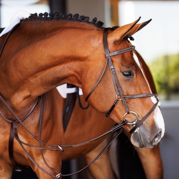 Shires Fancy Raised Rubber Reins