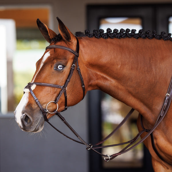 shires Fancy Raised Rubber Reins