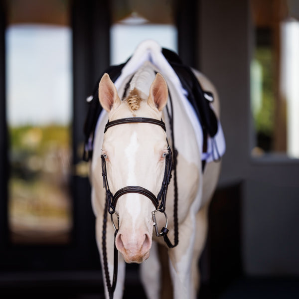 Shires Fancy Square Raised Laced Reins