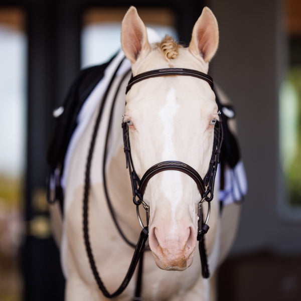 Shires Fancy Square Raised Laced Reins