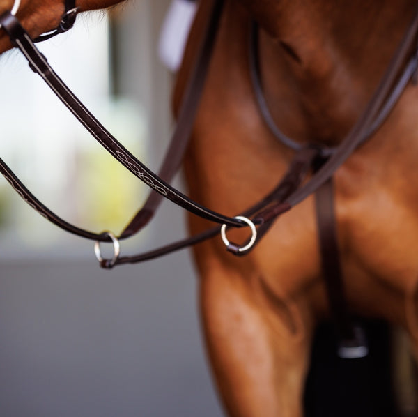 Shires Fancy Square Raised Running Martingale
