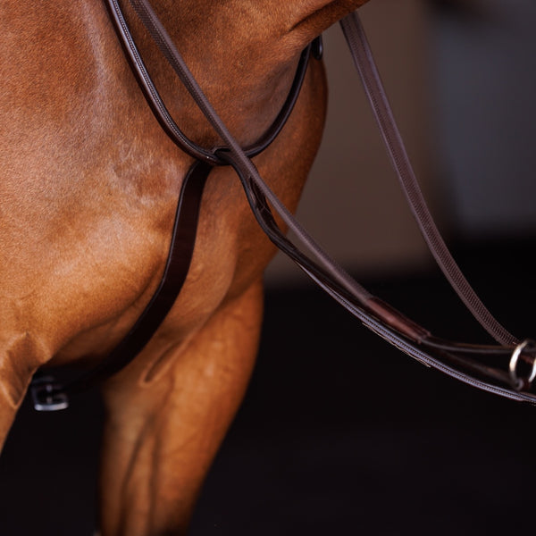 Shires Fancy Square Raised Running Martingale