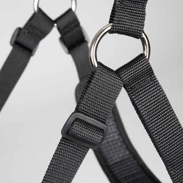 Shires FreeGraze Comfort Grazing Muzzle