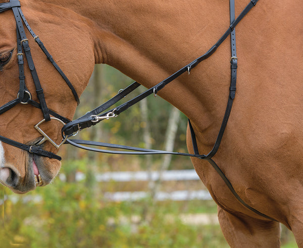 shires German Martingale