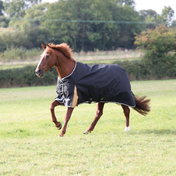 shires Highlander Plus 200 Standard Neck