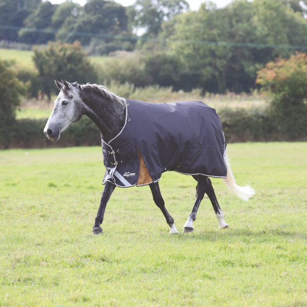 shires Highlander Plus 300 Standard Neck