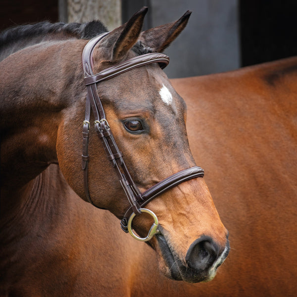 shires Lusso Hunter Cavesson Bridle