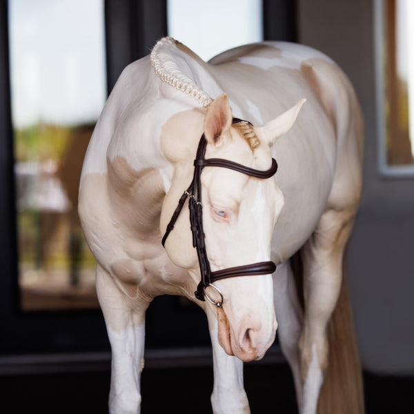 Shires Lusso Raised Padded Bridle