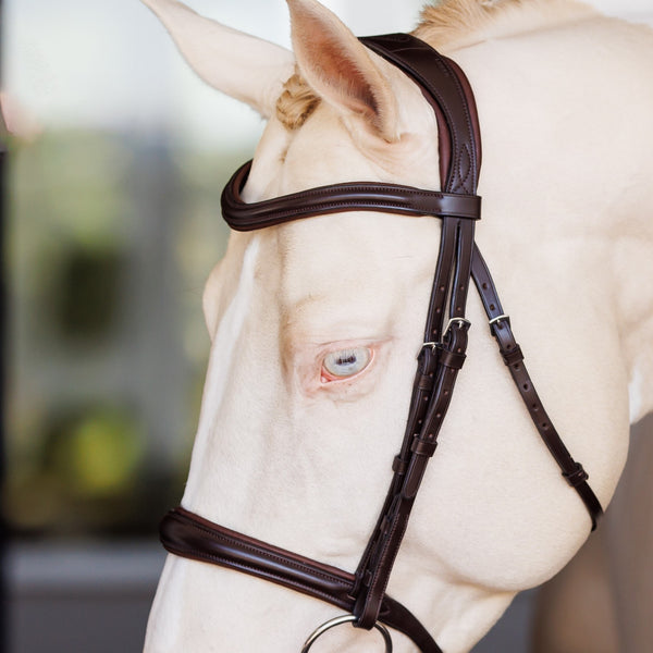 Shires Lusso Raised Padded Bridle