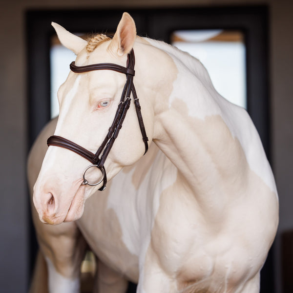 shires Lusso Raised Padded Bridle