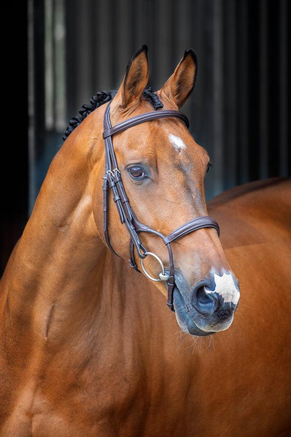 shires Lusso Rolled Padded Cavesson Bridle