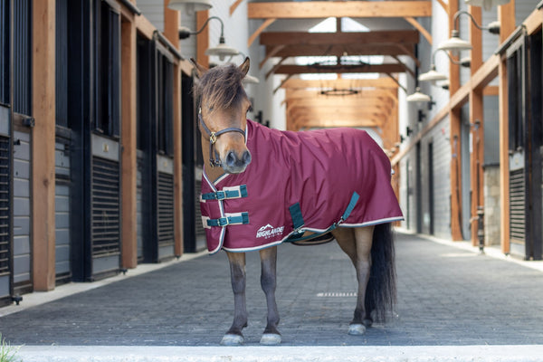 Shires Mini Highlander Blanket