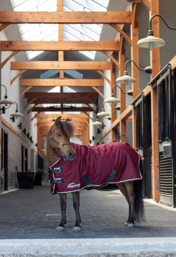 Shires Mini Highlander Blanket