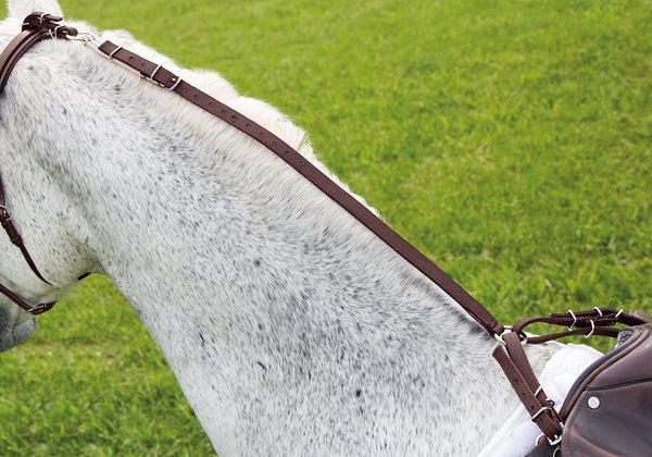 shires Nylon Daisy Rein