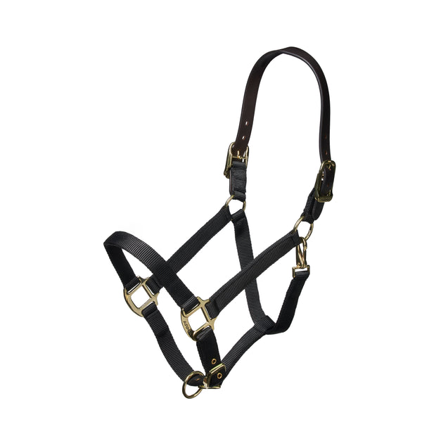 shires Nylon Halter With Leather Head Strap