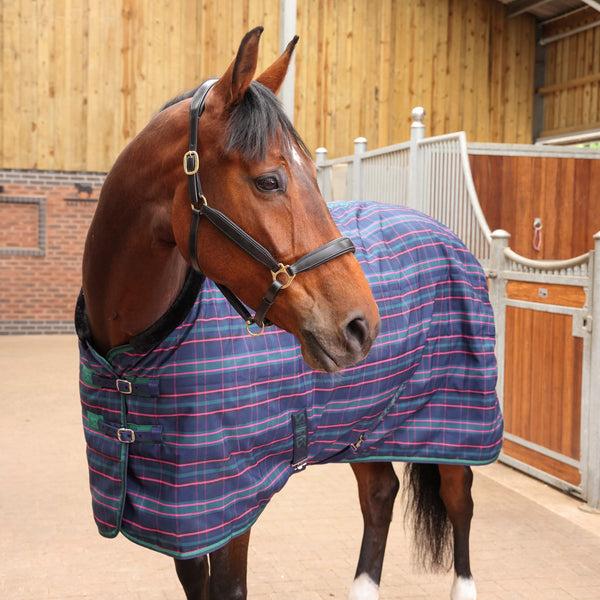 Shires Tempest Plus 100 Stable Blanket