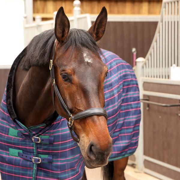 Shires Tempest Plus 100 Stable Blanket
