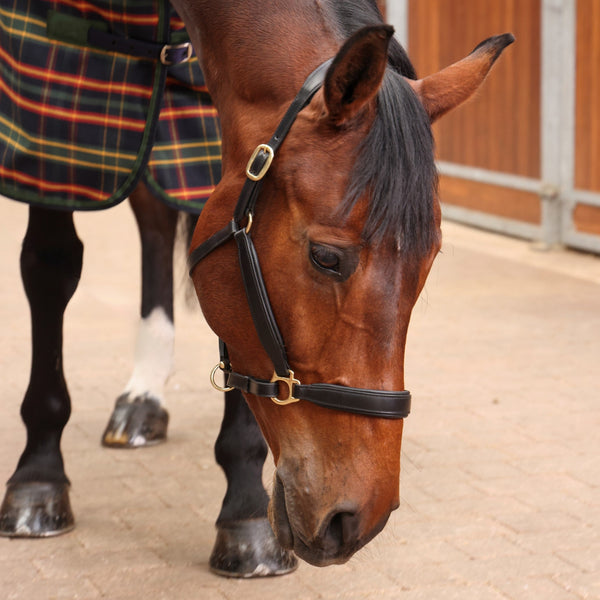 Shires Tempest Plus Lite Stable Blanket