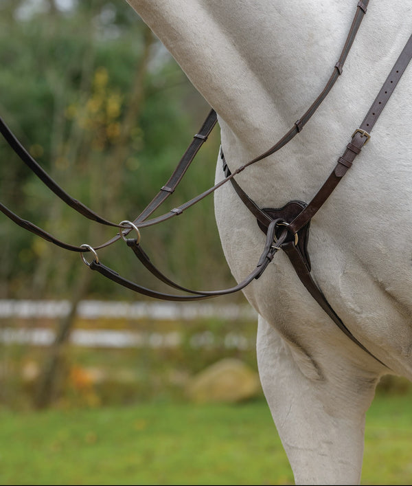 shires Three Point Breastplate